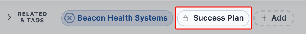 Template-locked Related records and Tags showing the lock icon instead of an X